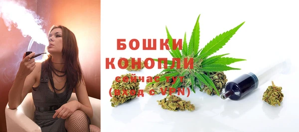 mdpv Богородицк