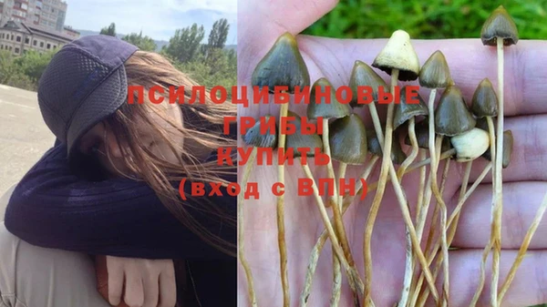 ALPHA-PVP Белокуриха