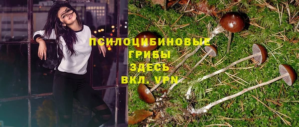 mdpv Богородицк